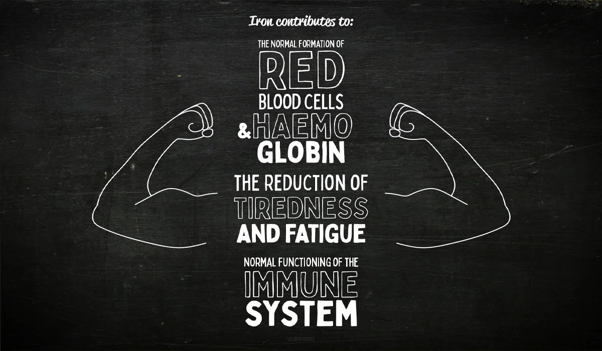 The Role of Iron in Reducing Fatigue